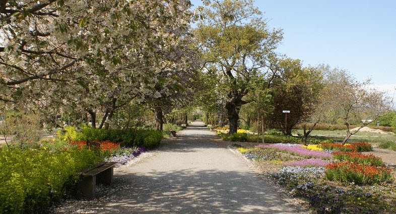 Johannes Gutenberg University Mainz Botanical Garden, Mainz, Germany, Germany